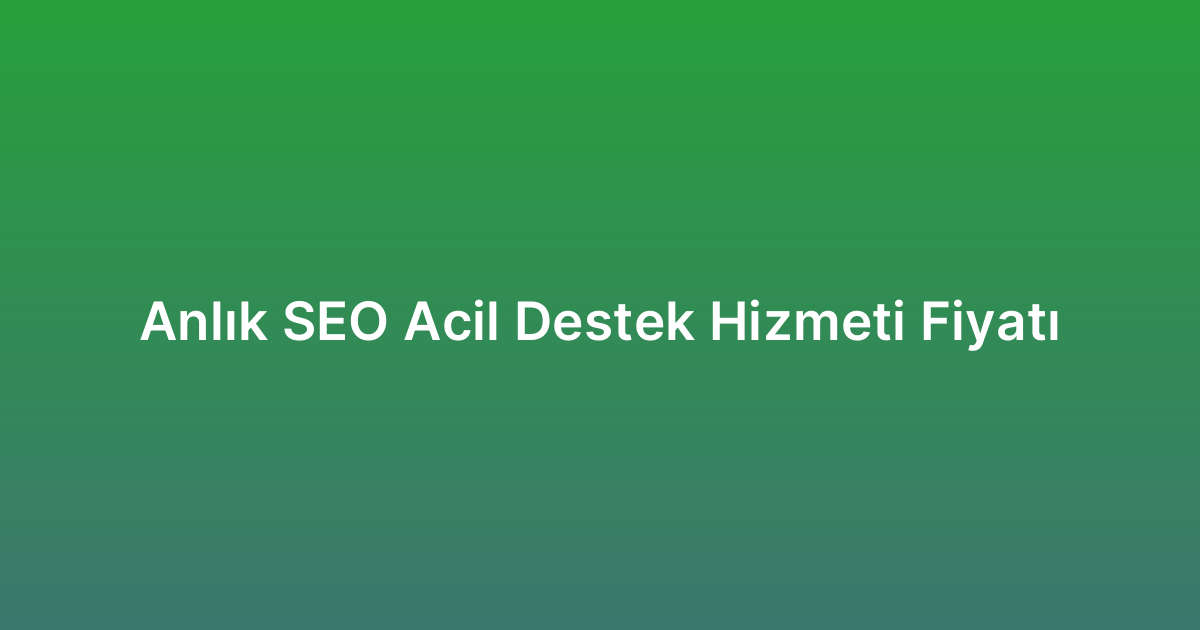 Anlık SEO Acil Destek Hizmeti Fiyatı