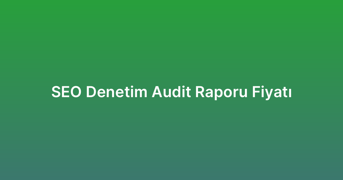 SEO Denetim Audit Raporu Fiyatı