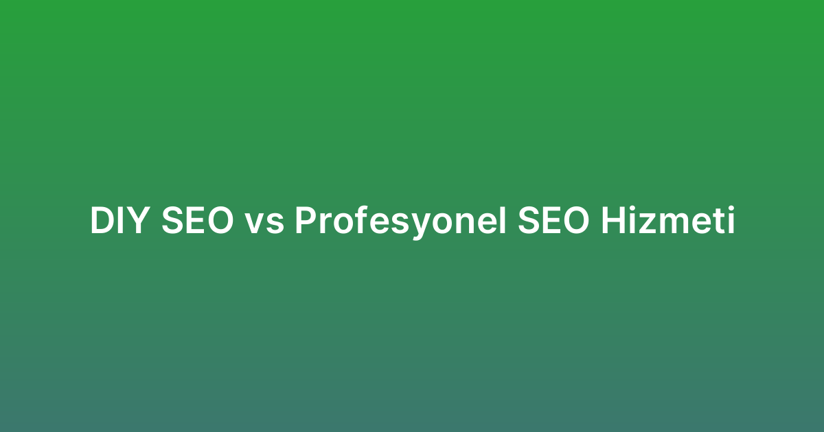 DIY SEO vs Profesyonel SEO Hizmeti