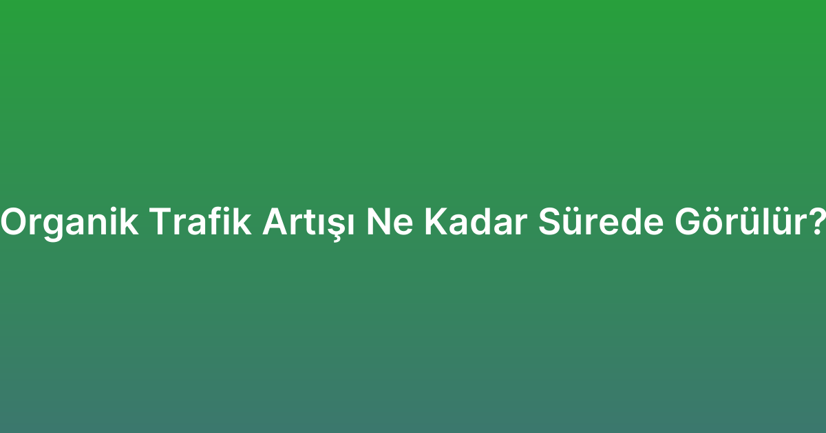 Organik Trafik Artışı Ne Kadar Sürede Görülür?